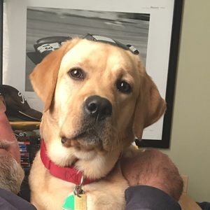 Meet your Posher, Holly